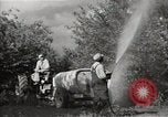 Immagine di Comunità meglio Georgia United States USA, 1946, secondo 48 filmato di repertorio 65675054179