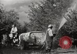Immagine di Comunità meglio Georgia United States USA, 1946, secondo 49 filmato di repertorio 65675054179