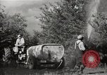Immagine di Comunità meglio Georgia United States USA, 1946, secondo 50 filmato di repertorio 65675054179