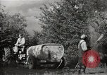 Immagine di Comunità meglio Georgia United States USA, 1946, secondo 51 filmato di repertorio 65675054179