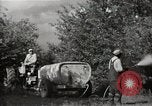 Immagine di Comunità meglio Georgia United States USA, 1946, secondo 52 filmato di repertorio 65675054179