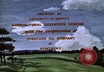 Immagine di Pascoli Georgia United States USA, 1950, secondo 11 filmato di repertorio 65675054180