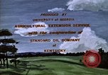 Immagine di Pascoli Georgia United States USA, 1950, secondo 13 filmato di repertorio 65675054180