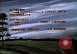 Immagine di Pascoli Georgia United States USA, 1950, secondo 24 filmato di repertorio 65675054180
