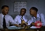 Immagine di Pascoli Georgia United States USA, 1950, secondo 38 filmato di repertorio 65675054180