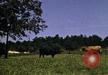 Immagine di Pascoli Georgia United States USA, 1950, secondo 34 filmato di repertorio 65675054181