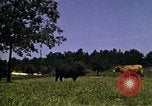Immagine di Pascoli Georgia United States USA, 1950, secondo 36 filmato di repertorio 65675054181