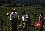 Image of pastures Georgia United States USA, 1950, second 6 stock footage video 65675054182