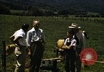 Image of pastures Georgia United States USA, 1950, second 9 stock footage video 65675054182