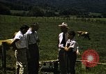 Image of pastures Georgia United States USA, 1950, second 14 stock footage video 65675054182
