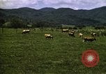Image of pastures Georgia United States USA, 1950, second 41 stock footage video 65675054182