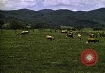 Image of pastures Georgia United States USA, 1950, second 42 stock footage video 65675054182
