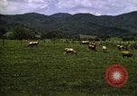 Image of pastures Georgia United States USA, 1950, second 43 stock footage video 65675054182