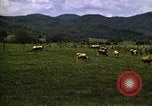 Image of pastures Georgia United States USA, 1950, second 44 stock footage video 65675054182