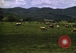 Image of pastures Georgia United States USA, 1950, second 45 stock footage video 65675054182
