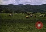 Image of pastures Georgia United States USA, 1950, second 61 stock footage video 65675054182