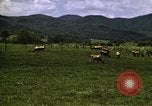Image of pastures Georgia United States USA, 1950, second 62 stock footage video 65675054182