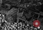 Image of Abandoned Industrial Site China, 1945, second 39 stock footage video 65675054190