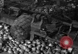 Image of Abandoned Industrial Site China, 1945, second 40 stock footage video 65675054190