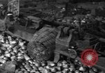 Image of Abandoned Industrial Site China, 1945, second 41 stock footage video 65675054190