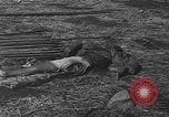 Image of American advisors meeting with KMT Chinese China, 1945, second 55 stock footage video 65675054191