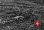 Image of American advisors meeting with KMT Chinese China, 1945, second 56 stock footage video 65675054191