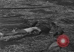 Image of American advisors meeting with KMT Chinese China, 1945, second 57 stock footage video 65675054191