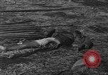 Image of American advisors meeting with KMT Chinese China, 1945, second 58 stock footage video 65675054191
