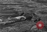 Image of American advisors meeting with KMT Chinese China, 1945, second 61 stock footage video 65675054191