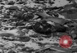 Image of Abandoned factories in China China, 1945, second 20 stock footage video 65675054193