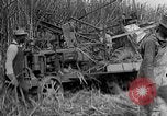 Standbild Zuckerrohr Cutter New Roads Louisiana USA, 1938, aus Sekunde 19 historischem Filmmaterial Videoclip 65675054206