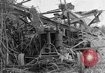 Standbild Zuckerrohr Cutter New Roads Louisiana USA, 1938, aus Sekunde 22 historischem Filmmaterial Videoclip 65675054206