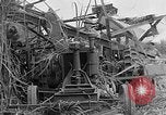 Standbild Zuckerrohr Cutter New Roads Louisiana USA, 1938, aus Sekunde 23 historischem Filmmaterial Videoclip 65675054206