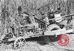 Standbild Zuckerrohr Cutter New Roads Louisiana USA, 1938, aus Sekunde 26 historischem Filmmaterial Videoclip 65675054206