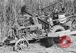 Standbild Zuckerrohr Cutter New Roads Louisiana USA, 1938, aus Sekunde 27 historischem Filmmaterial Videoclip 65675054206