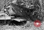 Standbild Zuckerrohr Cutter New Roads Louisiana USA, 1938, aus Sekunde 36 historischem Filmmaterial Videoclip 65675054206