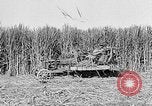 Standbild Zuckerrohr Cutter New Roads Louisiana USA, 1938, aus Sekunde 37 historischem Filmmaterial Videoclip 65675054206