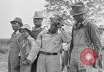 Standbild Zuckerrohr Cutter New Roads Louisiana USA, 1938, aus Sekunde 41 historischem Filmmaterial Videoclip 65675054206