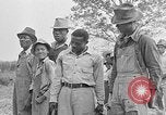 Standbild Zuckerrohr Cutter New Roads Louisiana USA, 1938, aus Sekunde 42 historischem Filmmaterial Videoclip 65675054206
