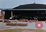 Image 8e Force aérienne Royaume-uni, 1945, de la seconde 8 séquences d'archives historiques vidéo 65675054222