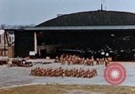 Image 8e Force aérienne Royaume-uni, 1945, de la seconde 10 séquences d'archives historiques vidéo 65675054222