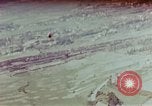 Image of P-51 Mustang Germany, 1945, second 24 stock footage video 65675054231