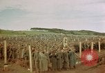 Image of German prisoners Germany, 1945, second 6 stock footage video 65675054237