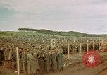 Image of German prisoners Germany, 1945, second 10 stock footage video 65675054237