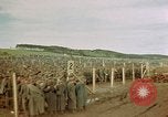 Image of German prisoners Germany, 1945, second 12 stock footage video 65675054237
