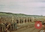 Image of German prisoners Germany, 1945, second 16 stock footage video 65675054237