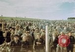 Image of German prisoners Germany, 1945, second 26 stock footage video 65675054237
