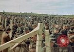 Image of German prisoners Germany, 1945, second 44 stock footage video 65675054237