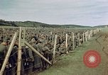 Image of German prisoners Germany, 1945, second 62 stock footage video 65675054237