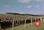 Image of German prisoners of war Germany, 1945, second 3 stock footage video 65675054238